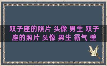 双子座的照片 头像 男生 双子座的照片 头像 男生 霸气 壁纸